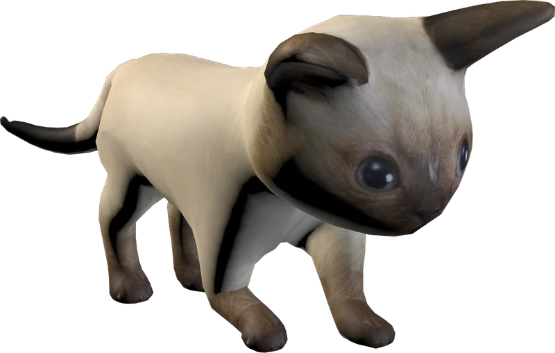 Babuleh crouching to pounce