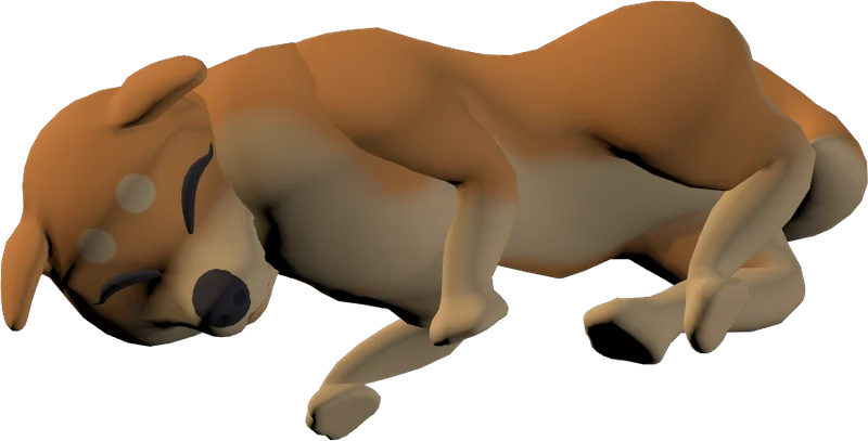 The Shiba Inu stretched out asleep