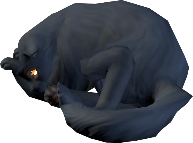 Spooky Cat curled up asleep
