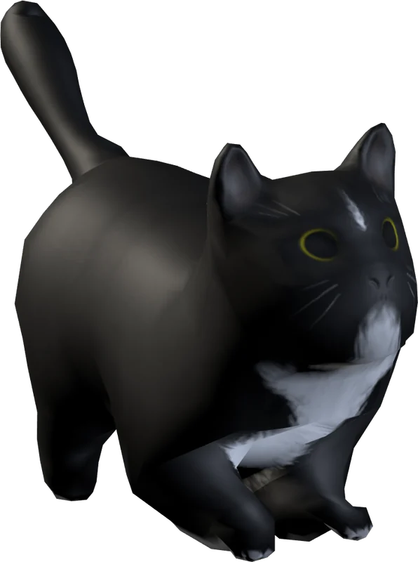 The tuxedo cat stretching with its tail up